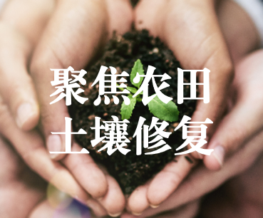 聚焦農(nóng)田土壤修復，保障糧食產(chǎn)品安全 ——踔厲奮發(fā)、篤行不怠，以奮斗之姿獻禮黨的二十大