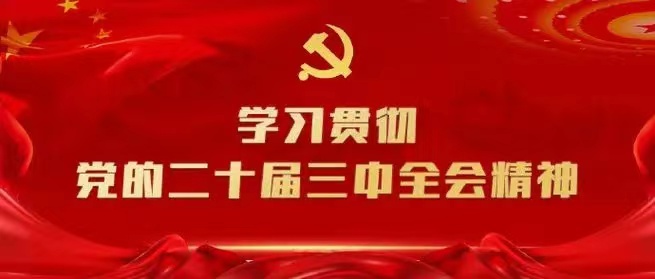 學習會議精神，貫徹落實工作 --川勘天晟源公司黨支部召開主題黨員大會